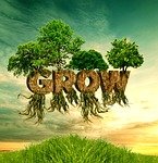 nature, grass, tree, summer, landscape, environment, wood, sky, grow, plant, green, grassland, spring, life, roots, dry, growth, fruitful, branch, work, spiritual growth, word, courage, innovation, fantasy, grow, roots, growth, growth, growth, spiritual growth, spiritual growth, spiritual growth, spiritual growth, spiritual growth, courage, courage, courage, courage, courage, innovation, innovation, innovation, innovation